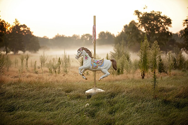 Carousel photo