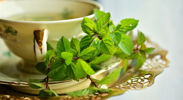 herb tea photo